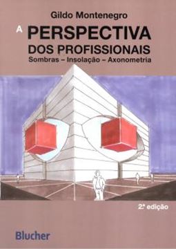 Imagem de A PERSPECTIVA DOS PROFISSIONAIS - 2ª ED