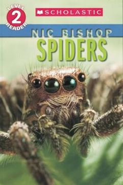 Imagem de SPIDERS - LEVEL 2