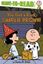 Imagem de YOU GOT A ROCK, CHARLIE BROWN!