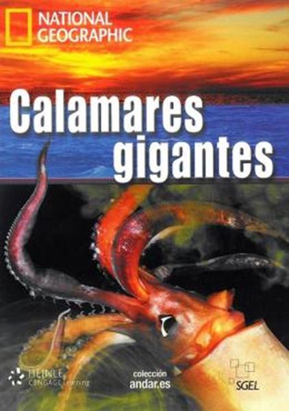 Picture of CALAMARES GIGANTES - NIVEL C1 - LIBRO + DVD