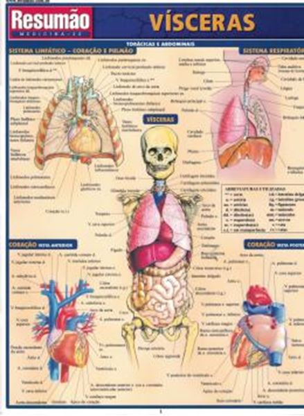 Picture of RESUMAO - VISCERAS - 2ª ED.