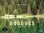 Imagem de VIAJE VISUAL Y SONORO POR LOS BOSQUES DE ESPANA