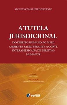 Imagem de A TUTELA JURISDICIONAL DO DIREITO HUMANO