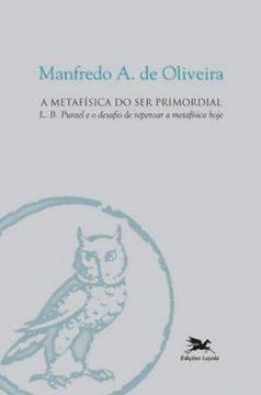 Imagem de A METAFISICA DO SER PRIMORDIAL