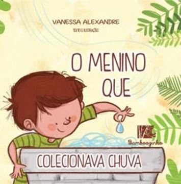 Imagem de O MENINO QUE COLECIONAVA CHUVA