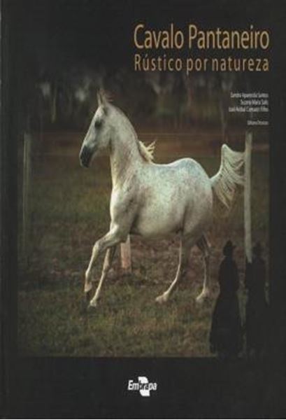 Picture of CAVALO PANTANEIRO - RUSTICO POR NATUREZA