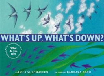 Imagem de WHAT´S UP, WHATS DOWN?