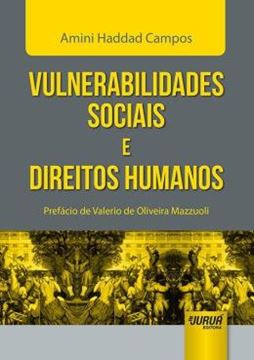 Imagem de VULNERABILIDADES SOCIAIS E DIREITOS HUMANOS - PREFACIO DE VALERIO DE OLIVEIRA MAZZUOLI