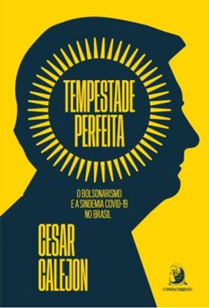 Picture of TEMPESTADE PERFEITA: O BOLSONARISMO E A SINDEMIA COVID-19 NO BRASIL