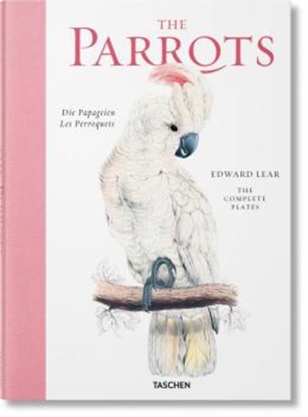 Picture of THE PARROTS