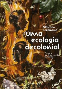 Imagem de UMA ECOLOGIA DECOLONIAL
