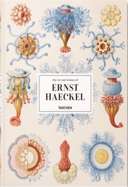 Picture of THE ART AND SCIENCE OF ERNST HAECKEL