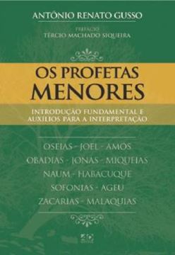 Imagem de OS PROFETAS MENORES - INTRODUCAO FUNDAMENTAL E AUXILIOS PARA INTERPRETACAO