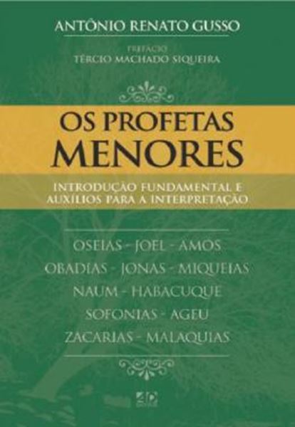 Picture of OS PROFETAS MENORES - INTRODUCAO FUNDAMENTAL E AUXILIOS PARA INTERPRETACAO