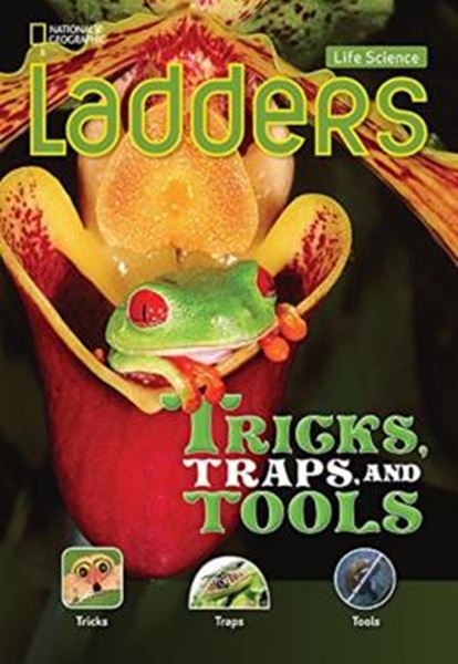 Picture of LADDERS - TRICKS, TRAPS - AND TOOLS - LIFE SCIENCE - BELOW-LEVEL