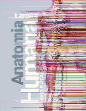 Imagem de ANATOMIA HUMANA - TEXTO E ATLAS - 2ª ED.
