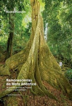 Imagem de REMANESCENTES DA MATA ATLANTICA - 2ªED