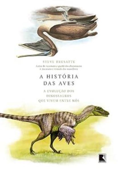 Picture of A HISTORIA DAS AVES - A EVOLUCAO DOS DINOSSAUROS QUE VIVEM ENTRE NOS